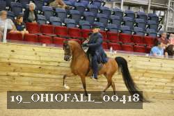 19_OHIOFALL_00418 thumbnail