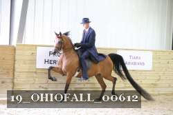 19_OHIOFALL_00612 thumbnail
