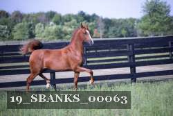 19_SBANKS_00063 thumbnail