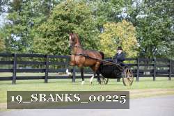 19_SBANKS_00225 thumbnail