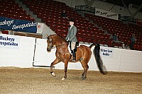 bky_05__0029 thumbnail
