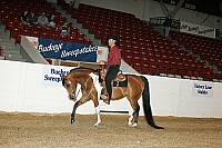 bky_05__0055 thumbnail