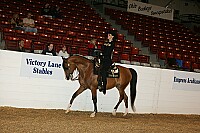 bky_05__0097 thumbnail