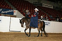 bky_05__0115 thumbnail