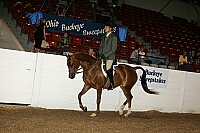 bky_05__0144 thumbnail