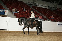 bky_05__0163 thumbnail