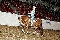 bky_05__0689 thumbnail