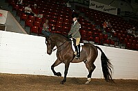 bky_05__0740 thumbnail