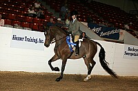 bky_05__0743 thumbnail