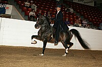 bky_05__0776 thumbnail