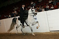 bky_05__0777 thumbnail