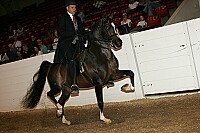 bky_05__0778 thumbnail