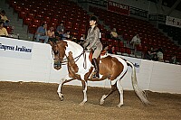 bky_05__0796 thumbnail