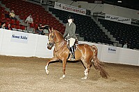 bky_05__0797 thumbnail