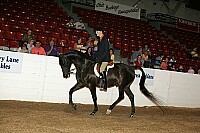 bky_05__0799 thumbnail