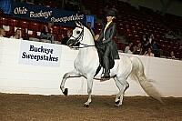 bky_05__0811 thumbnail