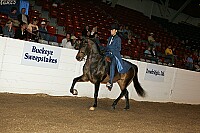 bky_05__0823 thumbnail