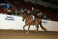 bky_05__0896 thumbnail