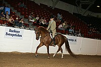 bky_05__0897 thumbnail