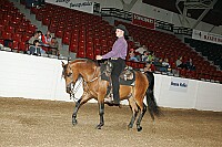 bky_05__1023 thumbnail