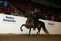 bky_05__1031 thumbnail