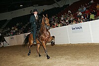 bky_05__1081 thumbnail