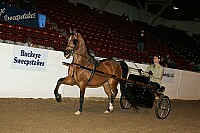 bky_05__1171 thumbnail