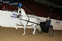 bky_05__1172 thumbnail