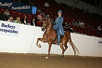 bky_05__1294 thumbnail
