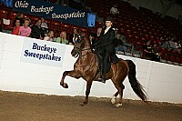 bky_05__1295 thumbnail