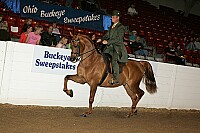 bky_05__1296 thumbnail