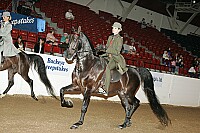 bky_05__1299 thumbnail