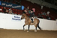 bky_05__1307 thumbnail