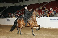 bky_05__1376 thumbnail