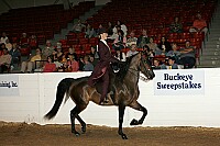 bky_05__1377 thumbnail