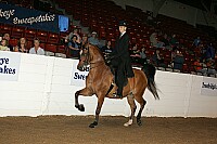 bky_05__1452 thumbnail