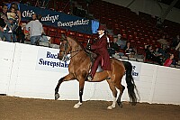 bky_05__1454 thumbnail