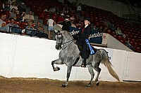 bky_05__1456 thumbnail