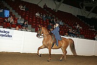 bky_05__1485 thumbnail