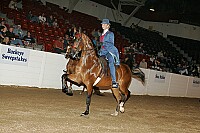 bky_05__1509 thumbnail