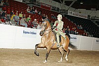 bky_05__1568 thumbnail