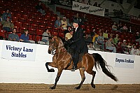 bky_05__1569 thumbnail