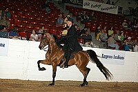 bky_05__1573 thumbnail