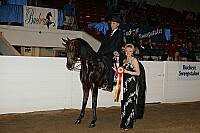 bky_05__1574 thumbnail