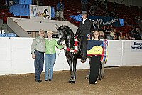 bky_05__1576 thumbnail