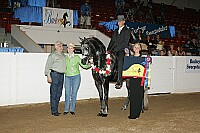 bky_05__1577 thumbnail