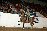 bky_05__1578 thumbnail