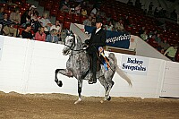 bky_05__1582 thumbnail