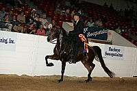 bky_05__1583 thumbnail