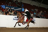 bky_05__1590 thumbnail
